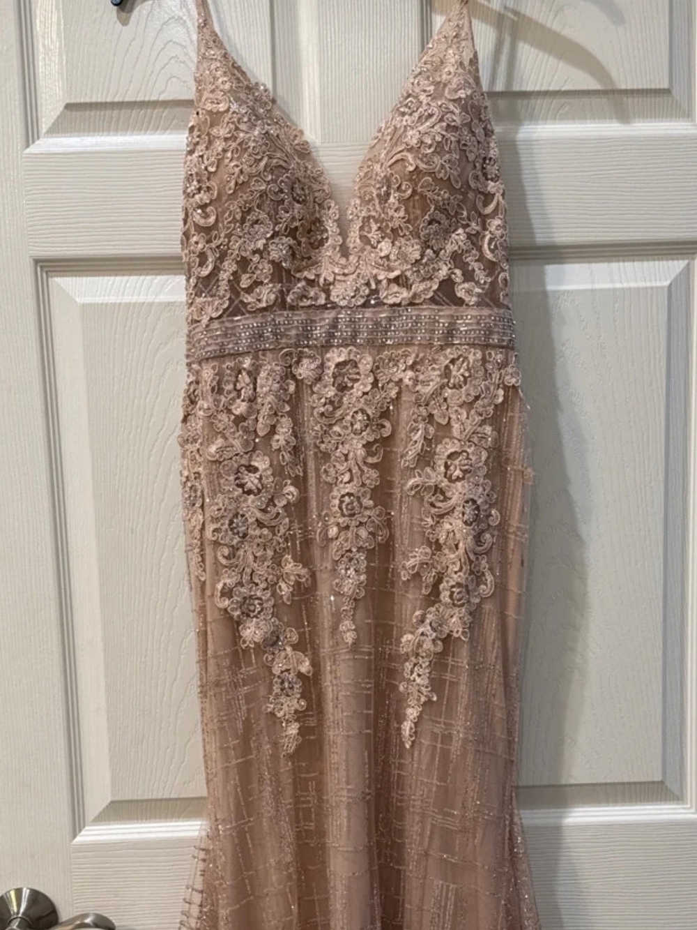 Embellished V-Neck Formal Dress in Blush